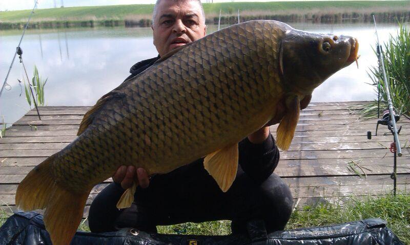 2014 Balta Lazar Alexandria - img-20140429-wa0017.jpg